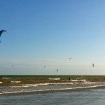IMG_0274 IMG_0274