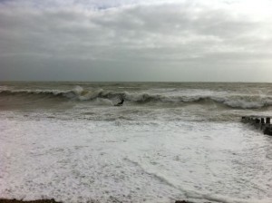 Kevin Shorebreak