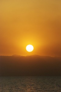 Golden Brown